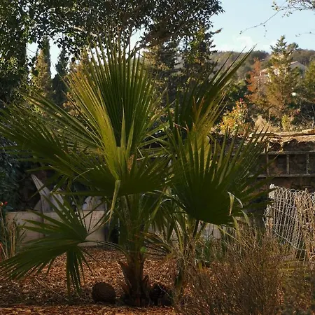 Vakantiehuis Mas De Gaussel *