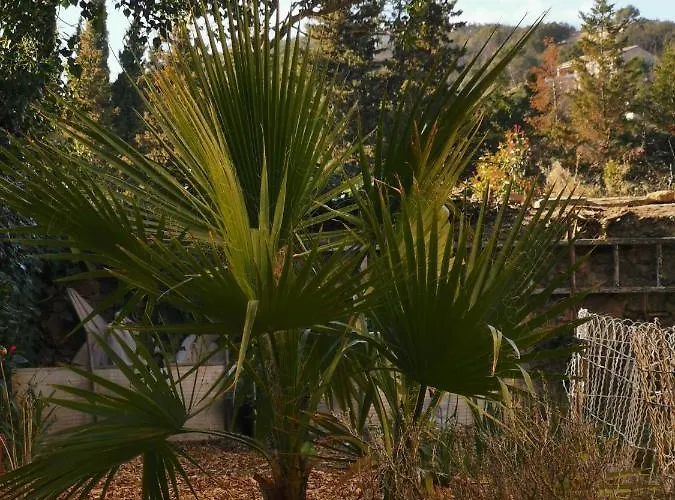 Ferienhaus Mas De Gaussel *